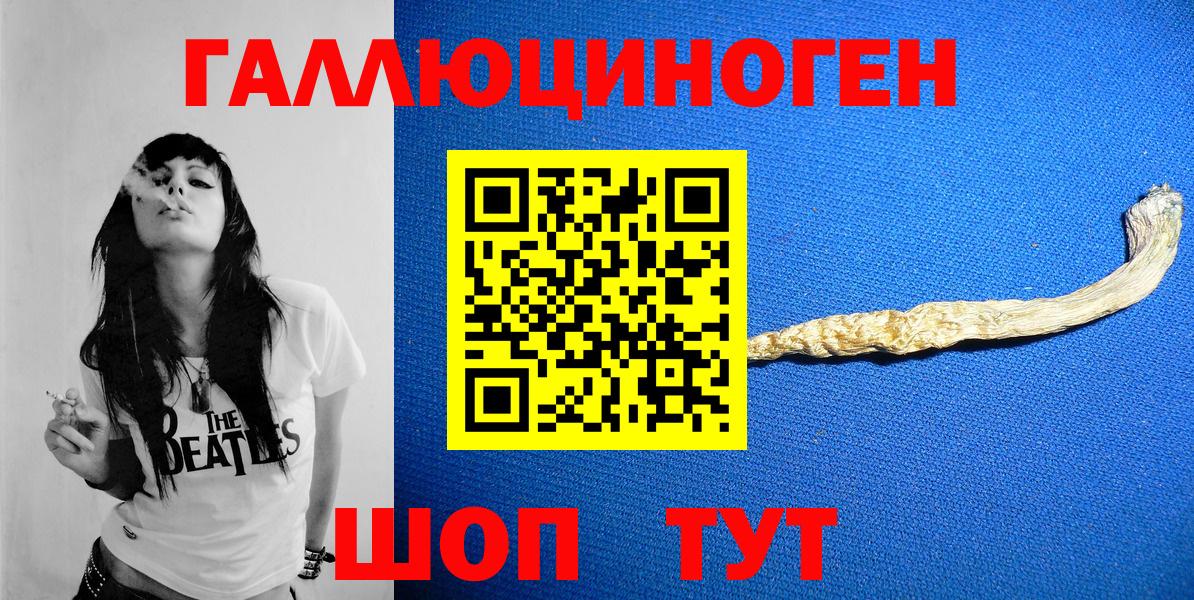 Дивногорск  Псилоцибиновые грибы мицелий  Вход с VPN 